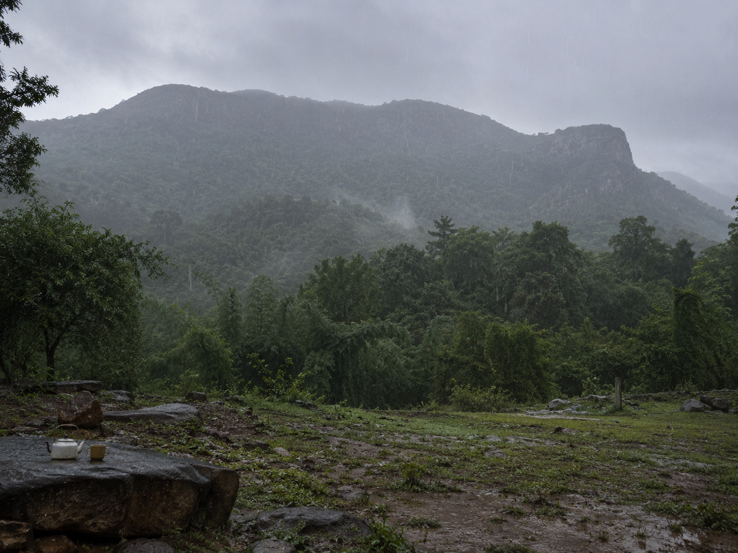 Monsoon Rain over Anakatti Forest